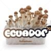 100% Mycelium Magic Mushroom Growkit Ecuador