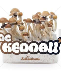 100% Mycelium Magic Mushroom Growkit McKennaii