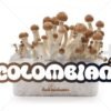 100% Mycelium Magic Mushroom Growkit Colombian