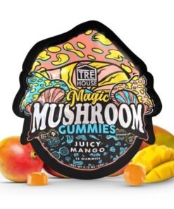Juicy Mango Magic Mushroom Gummies